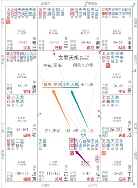 命主意思|紫微斗数中的命主和身主是什么意思？紫微斗数命主身主详解